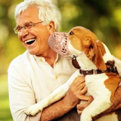 Downypaws Colliers, Laisses Et Vêtements | - Muselière pour chien-convient aux chiens de moins de 15 kg-beige