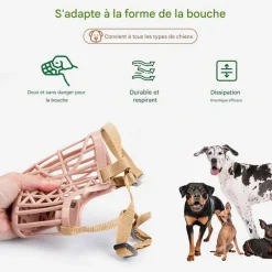 Downypaws Colliers, Laisses Et Vêtements | - Muselière pour chien-convient aux chiens de moins de 15 kg-beige