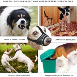 Downypaws - Muselière pour chien Online