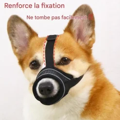 Downypaws - Muselière pour chien Online