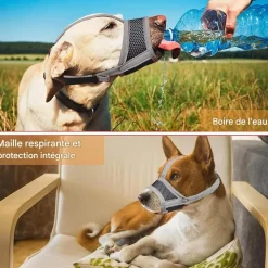 Downypaws - Muselière pour chien Online