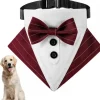 Downypaws Colliers, Laisses Et Vêtements | - Nœud papillon pour chien
