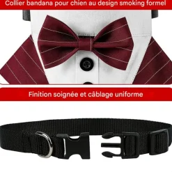 Downypaws - Nœud papillon pour chien Hot