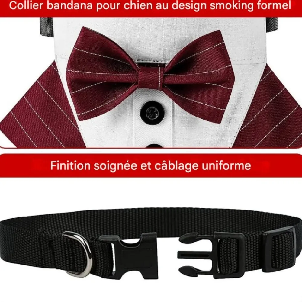 Downypaws Colliers, Laisses Et Vêtements | - Nœud papillon pour chien