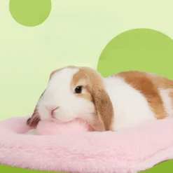 Downypaws Cages Et Accessoires | - Panier - coussin doux pour lapins et écureuils