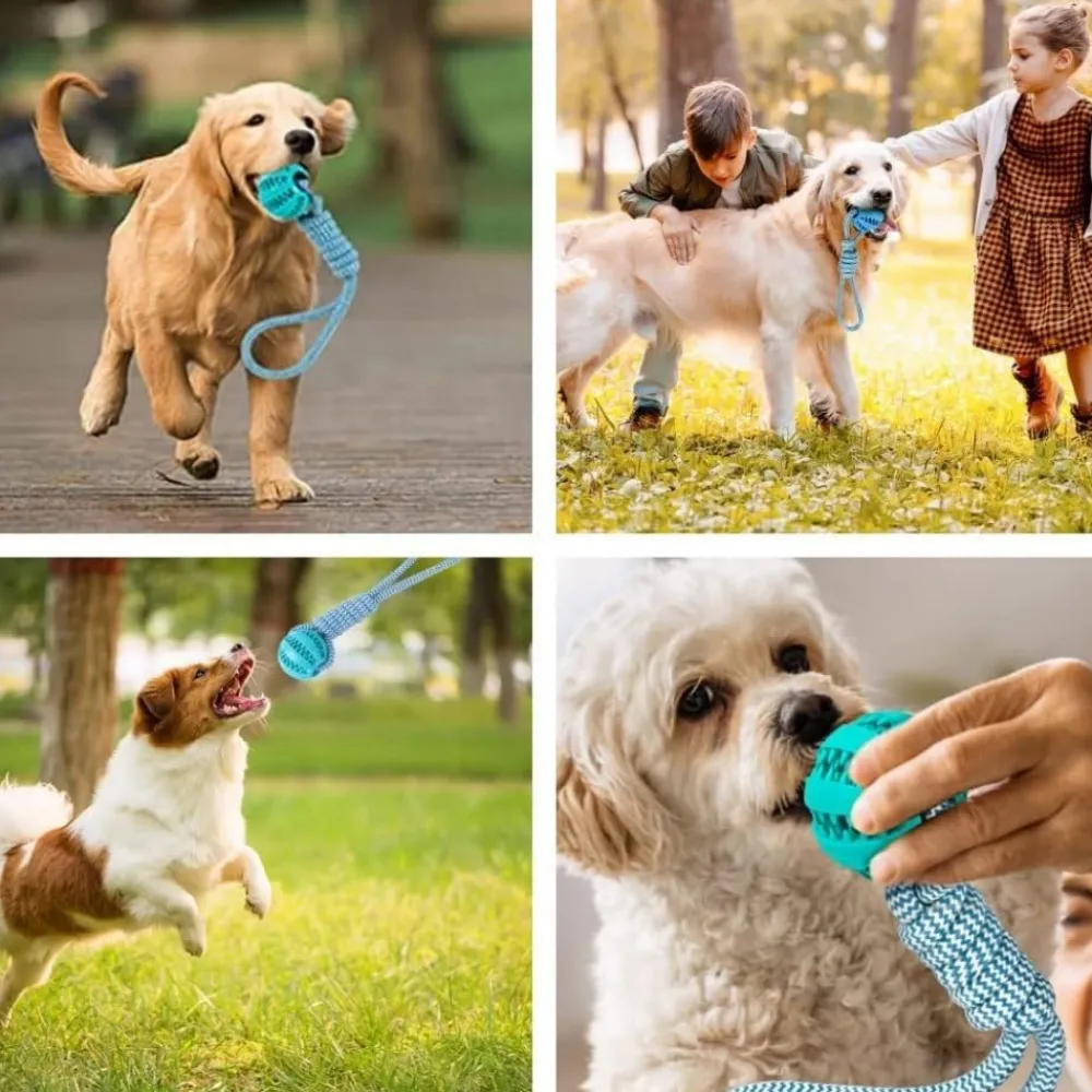 Downypaws - 2 pièces jouets de tir à Best