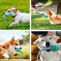 Downypaws - 2 pièces jouets de tir à Best