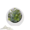 Downypaws Fleurs Et Plantes Artificielles | - Plantes vertes artificielles fleurs en plastique créatives avec décoration de bureau lumineuse