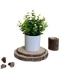 Downypaws Fleurs Et Plantes Artificielles | - Plantes vertes artificielles en pot, gazon artificiel