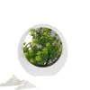 Downypaws Fleurs Et Plantes Artificielles | - Plantes vertes artificielles fleurs en plastique créatives avec décoration de bureau lumineuse