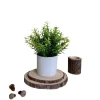 Downypaws Fleurs Et Plantes Artificielles | - Plantes vertes artificielles en pot herbe de saule artificielle