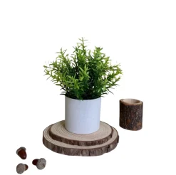 Downypaws Fleurs Et Plantes Artificielles | - Plantes vertes artificielles en pot herbe de saule artificielle