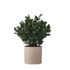 Downypaws - Plantes vertes artificielles en pot fleurs artificielles feuilles de lys gris Best