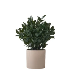 Downypaws - Plantes vertes artificielles en pot fleurs artificielles feuilles de lys gris Best