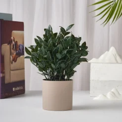 Downypaws - Plantes vertes artificielles en pot fleurs artificielles feuilles de lys gris Best