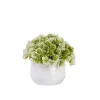 Downypaws Plantes Artificielles | - Plantes vertes artificielles en pot fleurs artificielles komatsu blanches