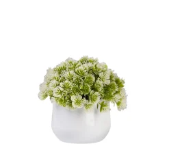 Downypaws Plantes Artificielles | - Plantes vertes artificielles en pot fleurs artificielles komatsu blanches