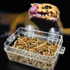 Downypaws - Plat pour reptiles Sale