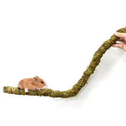 Downypaws Terrariums, Vivariums Et Accessoires | - Poteau d'escalade en mousse 30 cm pour animaux de compagnie