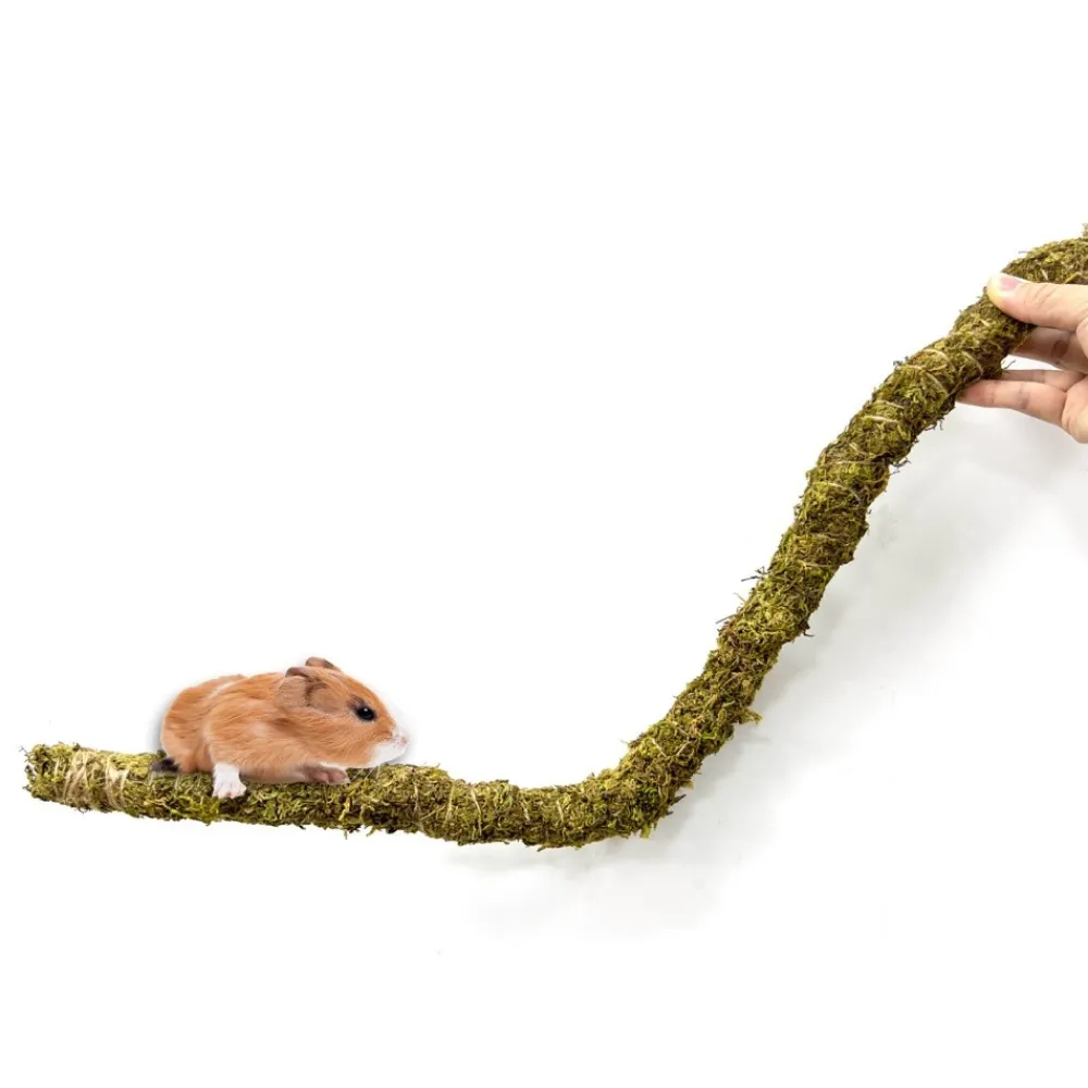 Downypaws Terrariums, Vivariums Et Accessoires | - Poteau d'escalade en mousse 40 cm pour animaux de compagnie