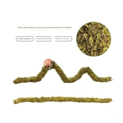 Downypaws Terrariums, Vivariums Et Accessoires | - Poteau d'escalade en mousse 40 cm pour animaux de compagnie