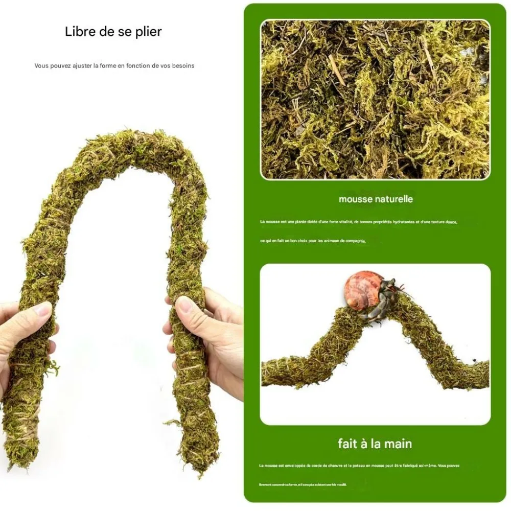 Downypaws Terrariums, Vivariums Et Accessoires | - Poteau d'escalade en mousse 60 cm pour animaux de compagnie