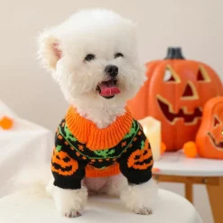 Downypaws - Pull d'halloween pour chiot,citrouille effrayante Clearance