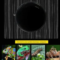 Downypaws Décoration Et Substrats | - Récipient d'alimentation - accessoires pour aquarium de reptiles
