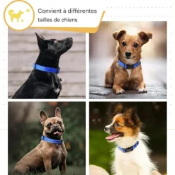 Downypaws - Réfléchissant collier pour chien Hot