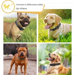 Downypaws - Réfléchissant collier pour chien Hot