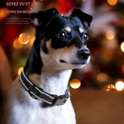Downypaws - Réfléchissant collier pour chien Hot