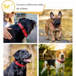 Downypaws - Réfléchissant collier pour chien Online