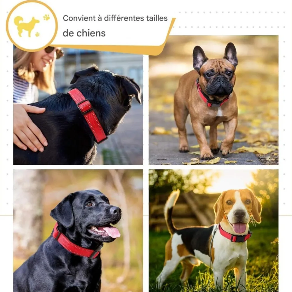 Downypaws - Réfléchissant collier pour chien Online