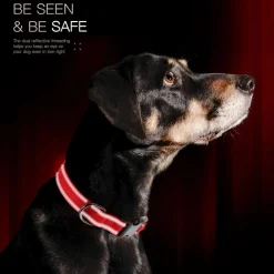 Downypaws - Réfléchissant collier pour chien Online