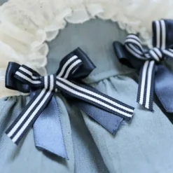 Downypaws Colliers, Laisses Et Vêtements | - Robe pour animaux de compagnie avec volants en nœud