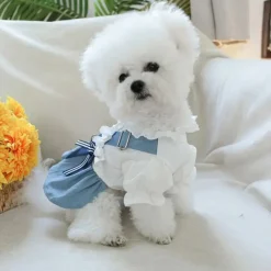 Downypaws Colliers, Laisses Et Vêtements | - Robe pour animaux de compagnie avec volants en nœud