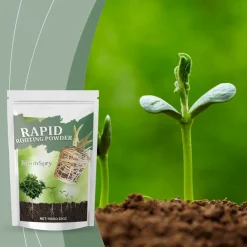 Downypaws - 2 sachets de poudre d'enracinement pour plantes Online