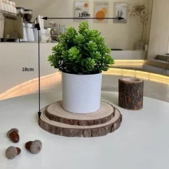 Downypaws - Simulation de plantes vertes en pot simulation de souchet Online