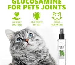 Downypaws - Spray à l'herbe à chat 100 ml Best