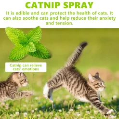 Downypaws - Spray à l'herbe à chat 100 ml Best