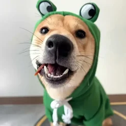 Downypaws Colliers, Laisses Et Vêtements | - Sweat à capuche tricoté, thème grenouille, pour chatons