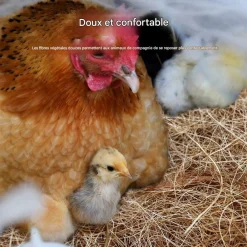 Downypaws Poulaillers, Clapiers Et Accessoires | - Tapis de nid pour poules, en fibres de noix de coco, chauffant 5 pièces