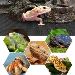 Downypaws - Tapis de terrarium - substrat pour reptiles Best
