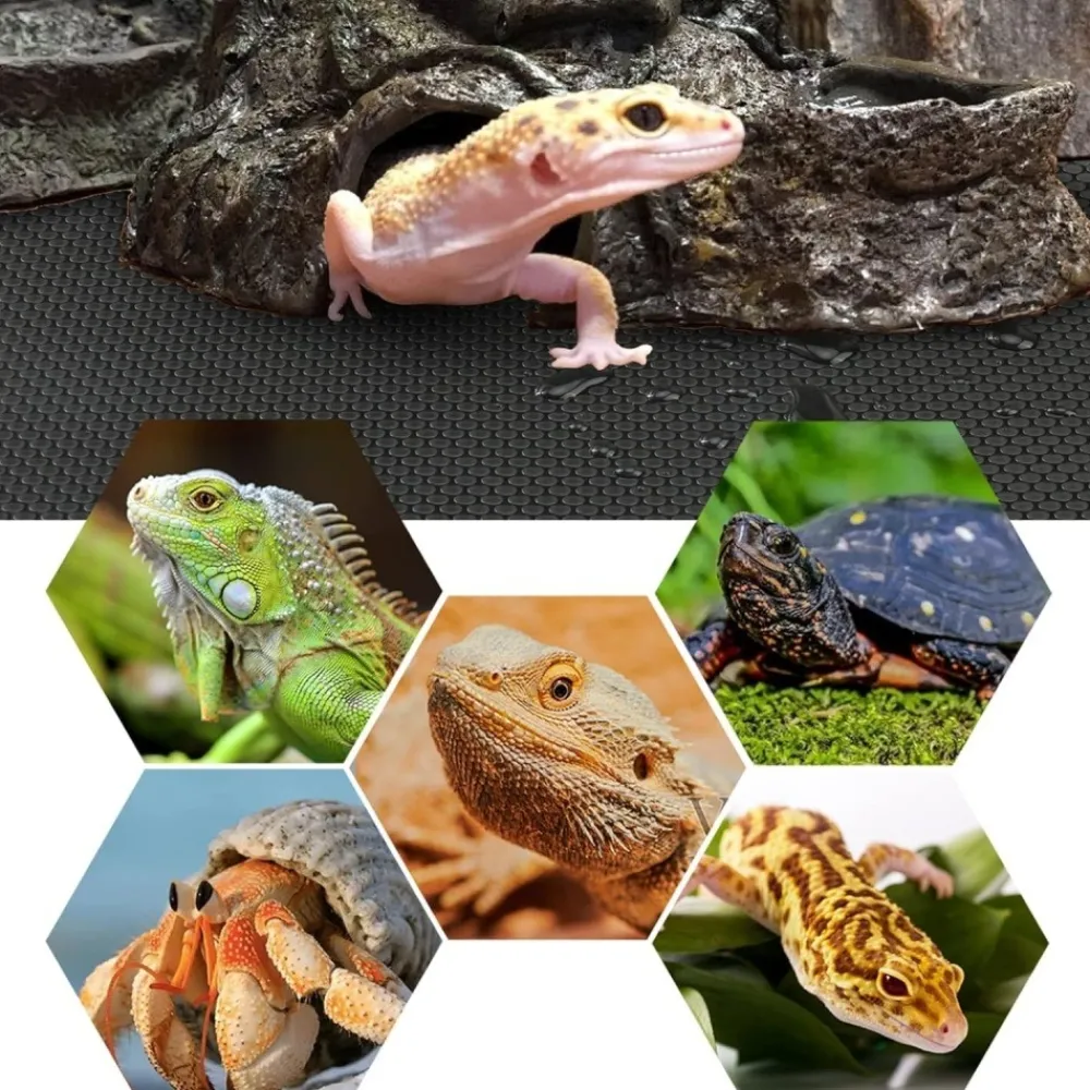 Downypaws - Tapis de terrarium - substrat pour reptiles Best