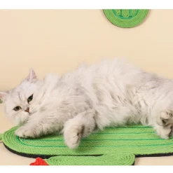 Downypaws - Tapis griffoir chat sisal cactus 44*30cm Sale