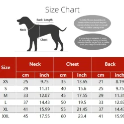 Downypaws - Vêtements pour chiens-manteau d'hiver pour petit chien longueur du dos 33 Sale