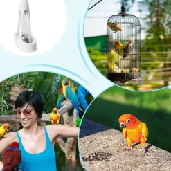 Dtopbuyage - Abreuvoir automatique oiseaux antitaches Best