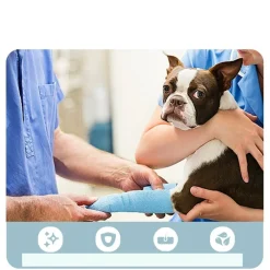 Dtopbuyage Colliers, Laisses Et Vêtements | - Adhésif pour pattes de chien pour tous les chiens