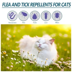 Dtopbuyage - Agent anti-puces et tiques pour animaux de compagnie, 50 ml - Hot