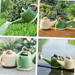 Dtopbuyage - Arrosoir à longue bouche pour plantes intérieur et extérieur Sale